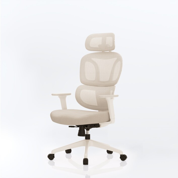 Colorful ergonomic office chair 2025